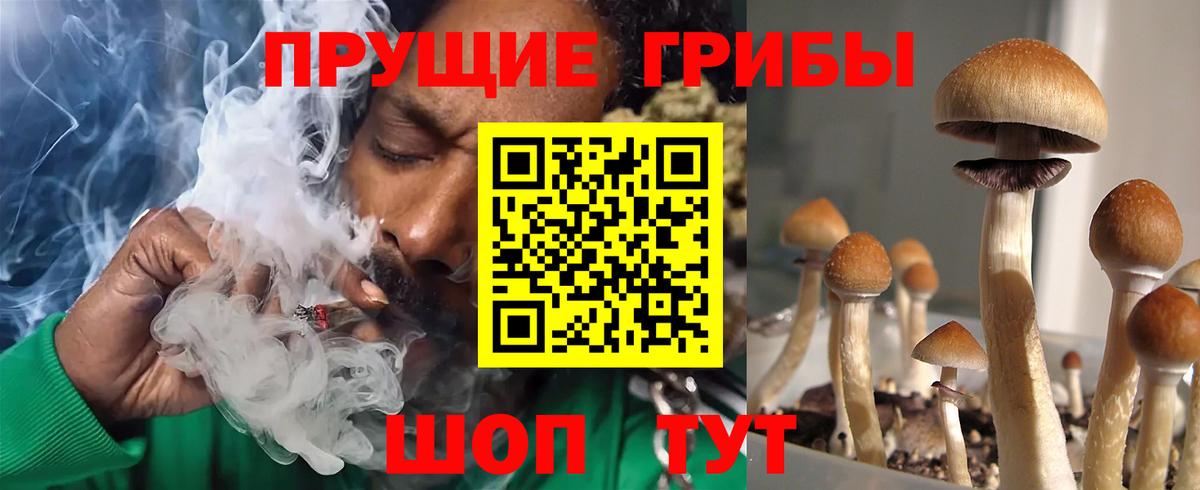 Галлюциногенные грибы GOLDEN TEACHER Ртищево